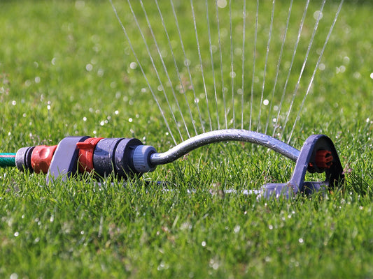 How to Water Your New Sod Lawn