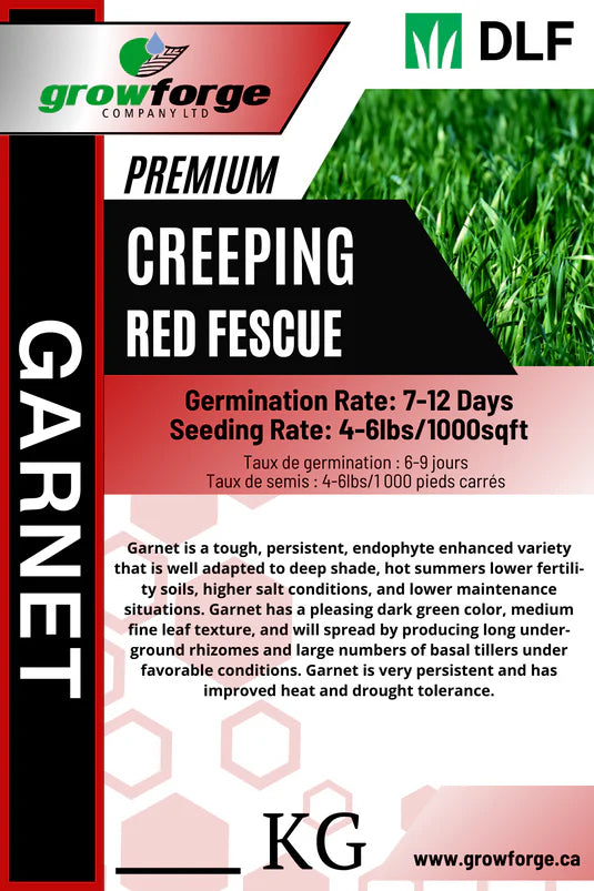 Garnet - Creeping Red Fescue (1KG)