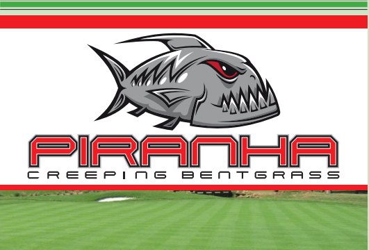 100% Piranha Creeping Bentgrass - General Seed Company
