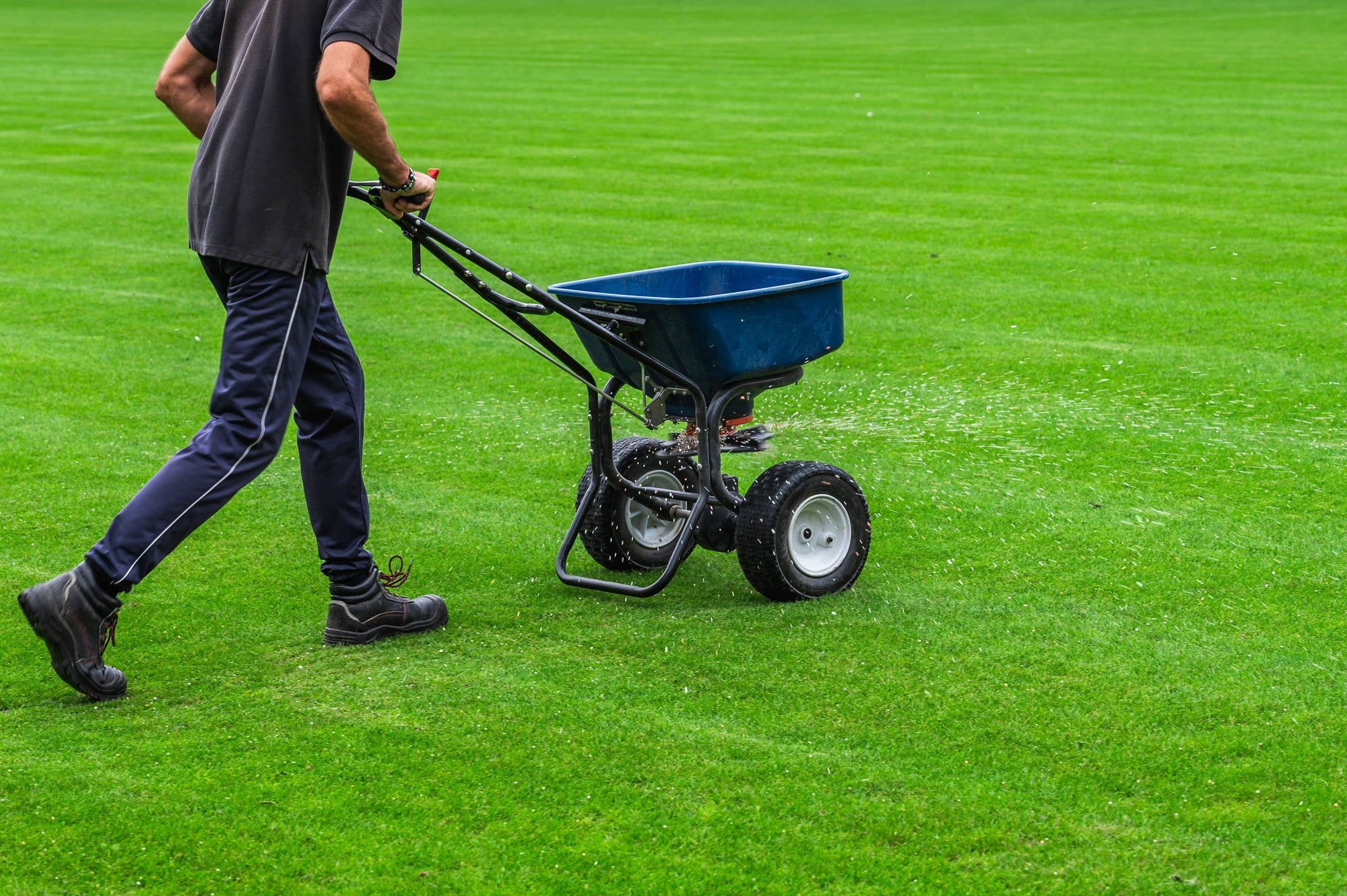 Niagara's best lawn fertilizing