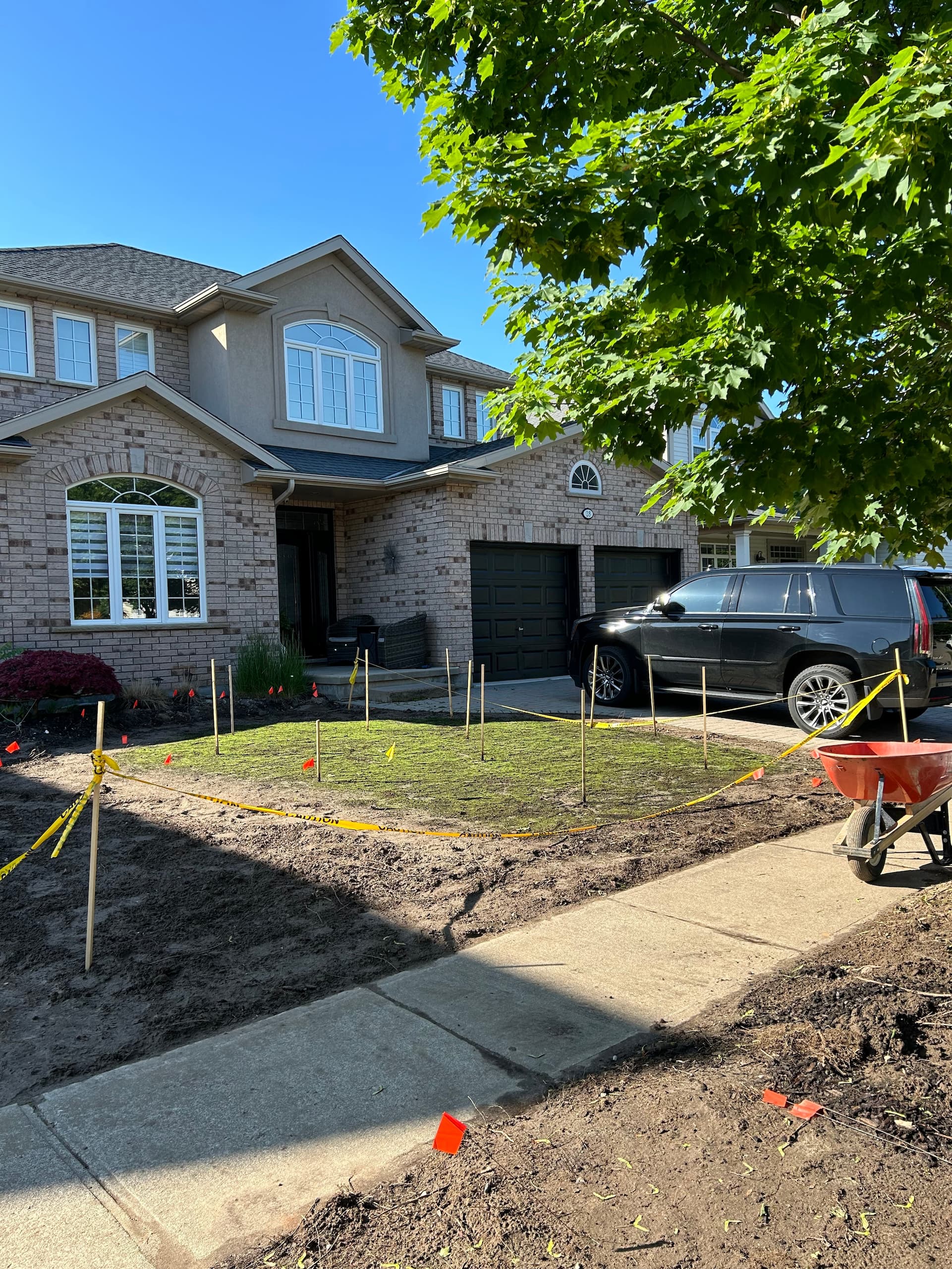 home custom golf green in Port Dalhousie bent grass seed germination stage with starter fertilizer
