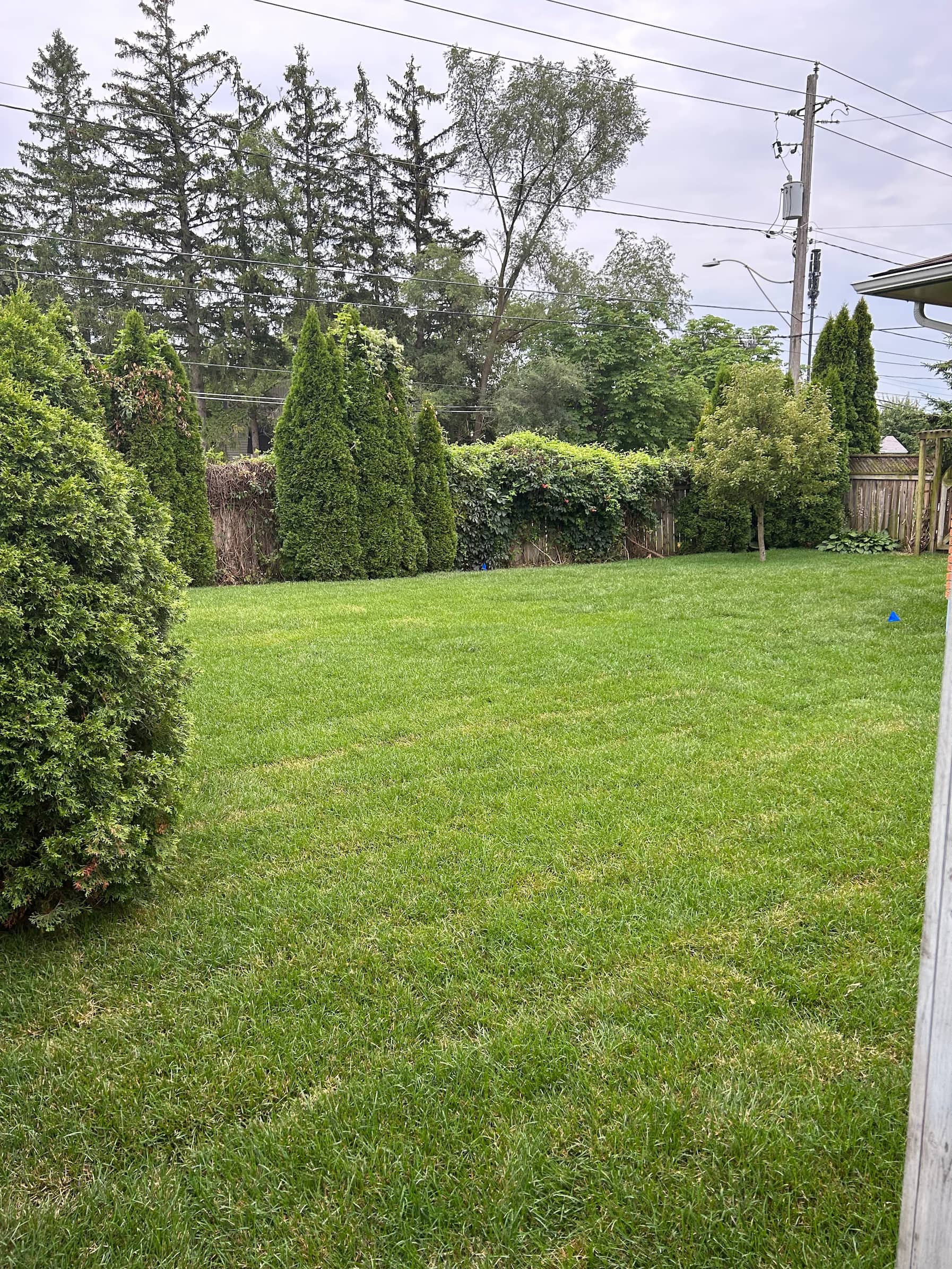 fresh sod installation back yard location St.Catharines