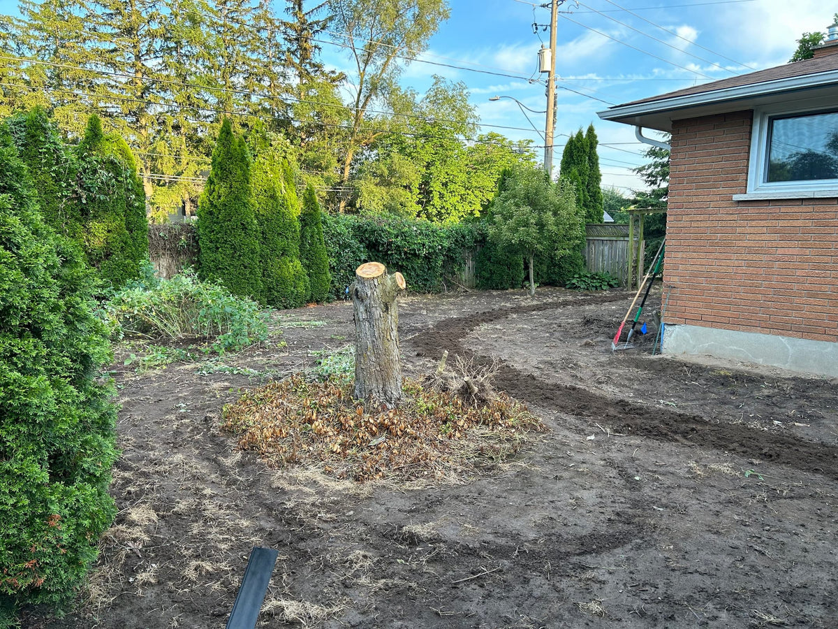 sod installation in progress location St. Catharines