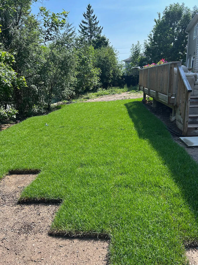 new sod installation near me in St Catharines