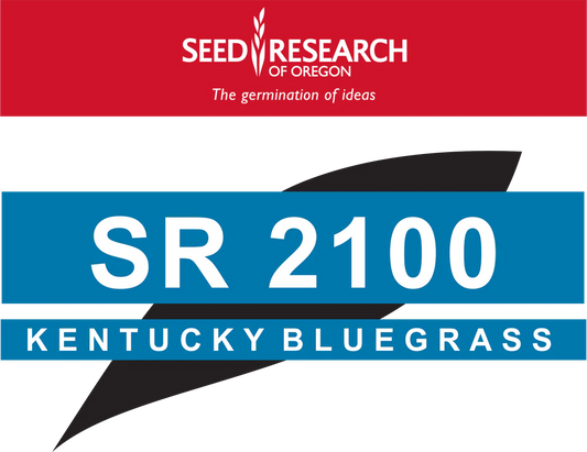 SR 2100 Kentucky Bluegrass Seed